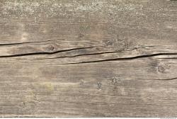 Photo Textures of Wood